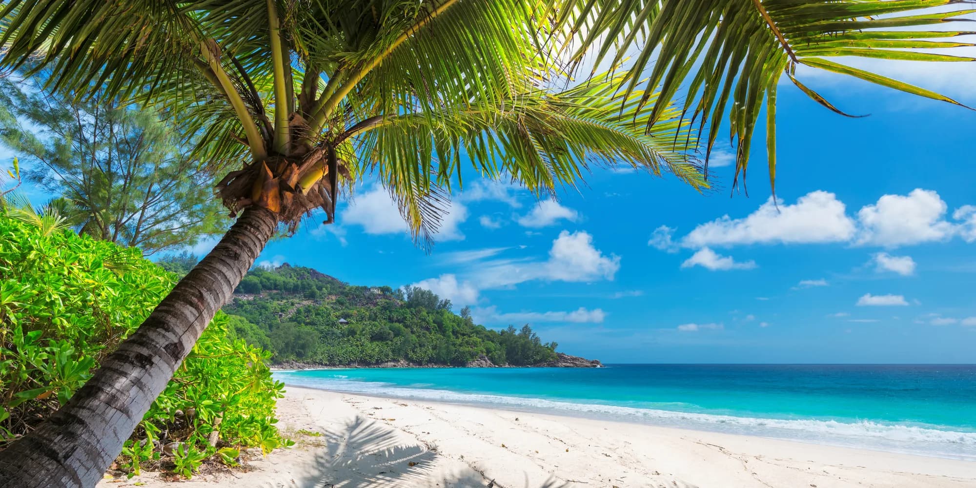 Destino tropical